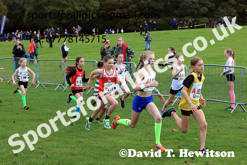 Girls under-11s, 2024 Northern Cross Country Relays, Graves Park, Sheffield.   Photo: David T. Hewitson/Sports for All Pics